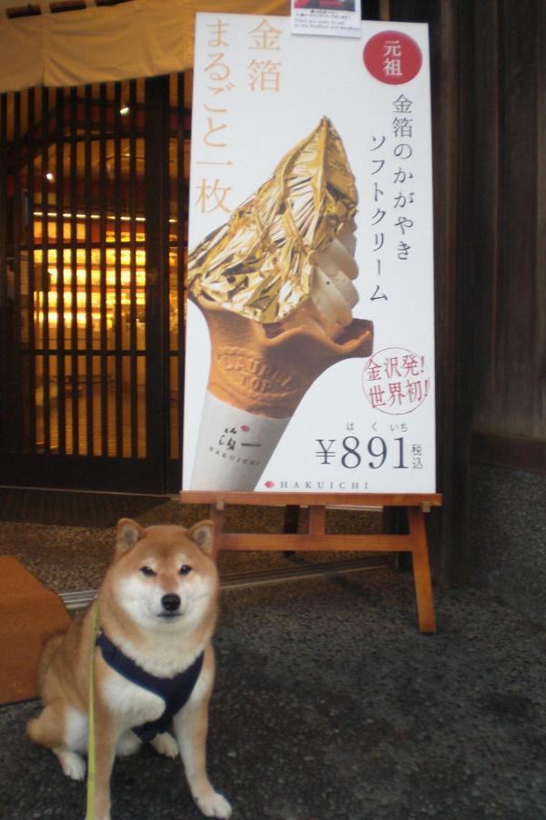 Kanazawa Share House GAOoo Eksteriør billede