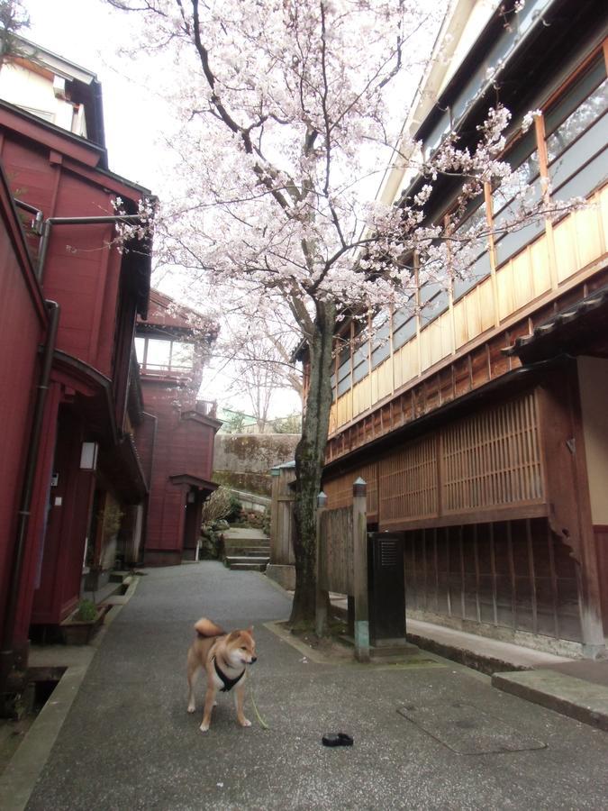 Kanazawa Share House GAOoo Eksteriør billede