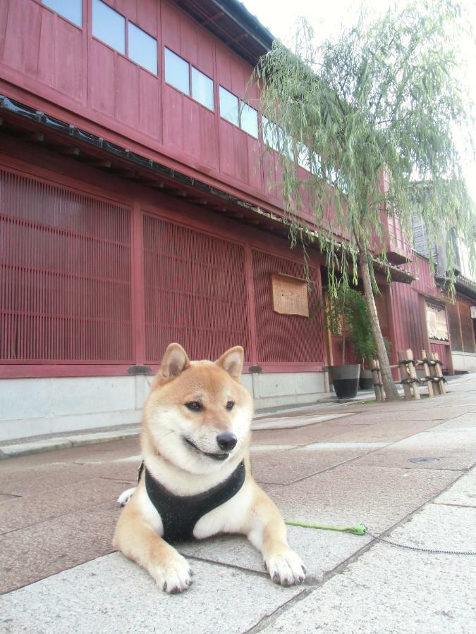 Kanazawa Share House GAOoo Eksteriør billede